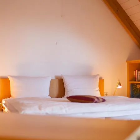 Storchen Restaurant Hotel 3*